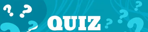 Banner turquesa con la palabra Quiz y signos de interrogación