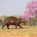 Capibara entre árboles de ipê rosa en Brasil