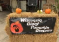 Calabazas gigantes expuestas en un concurso en Wisconsin