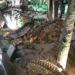 Esqueletos de dinosaurios expuestos en un museo