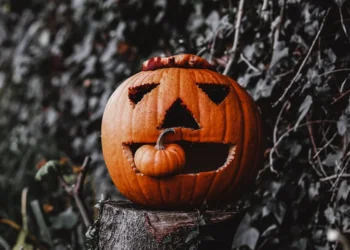 Jack-o'-lantern sobre un tronco