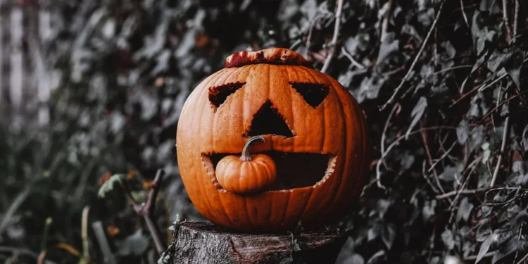 Jack-o'-lantern sobre un tronco