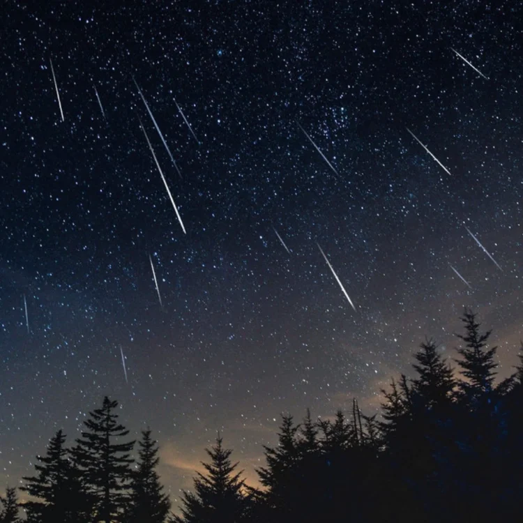 Meteoros cruzando el cielo nocturno