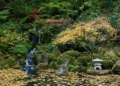 Follaje otoñal en octubre en un jardín japonés