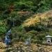 Follaje otoñal en octubre en un jardín japonés