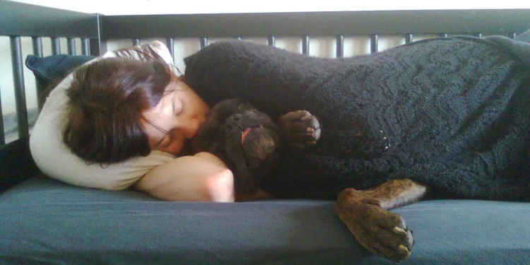 Persona durmiendo en la cama
